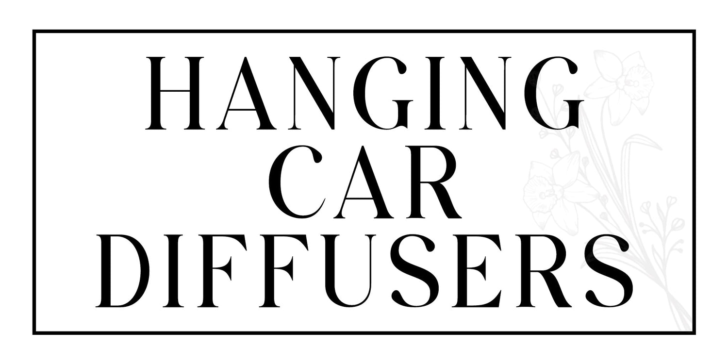 Hanging Car Diffusers